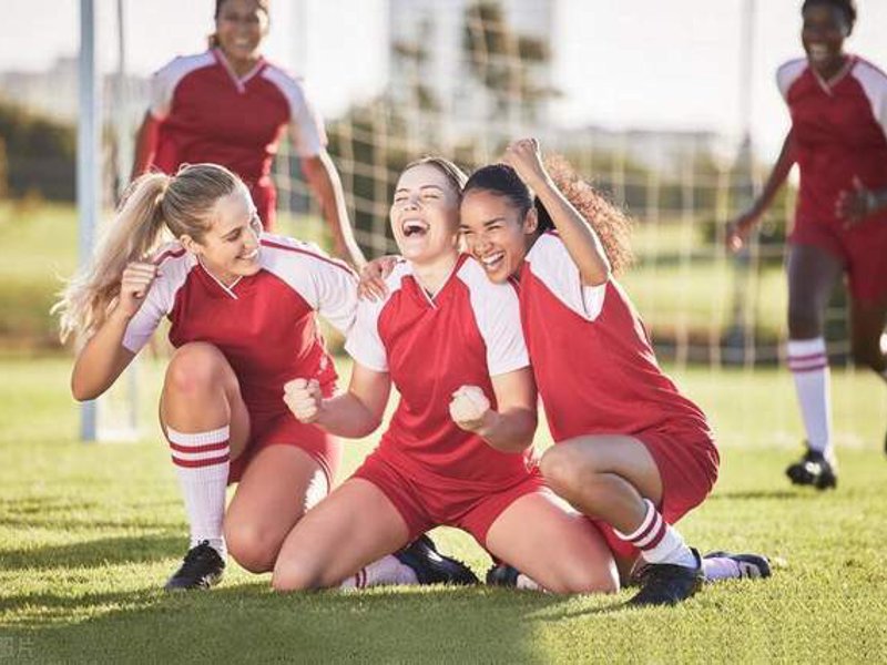 龙8头号玩家介绍